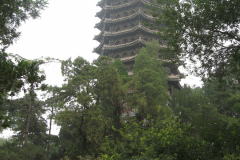 Beida-UNI-Pagoda-2